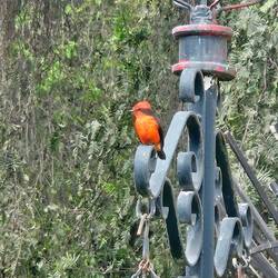 Auch hier ist die Vogelvielfalt einmalig🥰