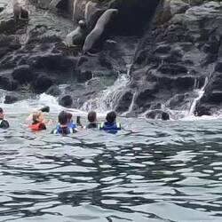 Das Wasser war eiskalt, der Gestank bestialisch aber eins der schönsten Momente so nah an den Robben