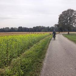 Very different scenery.