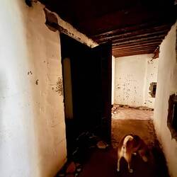 Mica geht tapfer voran