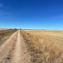 My view for most of my 24km walk today.