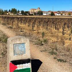 Approaching Villálcazar, Spain