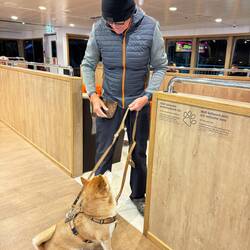 Well-behaved pets are welcome here!