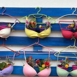 Interesting planter.