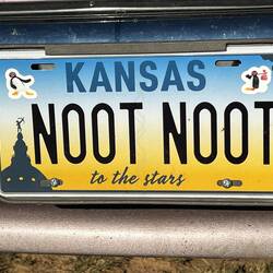 ...und putzen dan Kennzeichen. Das geht später schließlich mit nach Hause