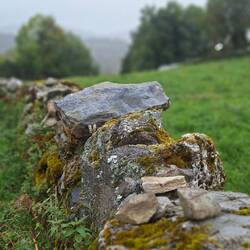 Todo es piedra y musgo por aquí..