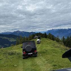 Dicke Dinger in heimelig grüner Umgebung.