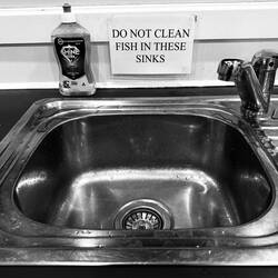 Aussies are totally obsessed with fishing.