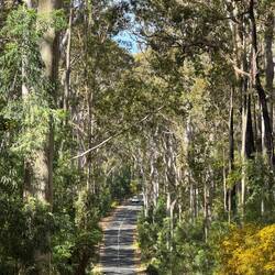 Murramarang National Park