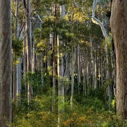 Murramarang National Park