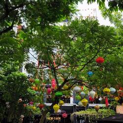 ...immer wieder kleine Parkanlagen 🌳🏮🌳am See