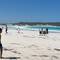 Lucky Bay heaving with people and cars