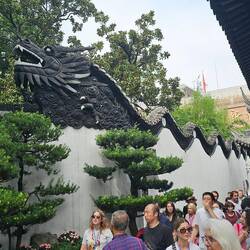 We missed this undulating dragon yesterday.