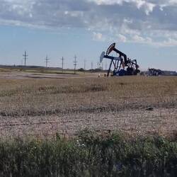 Und das mitten im Getreidefeld