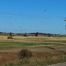 Auffällig die vielen Ölförderanlagen