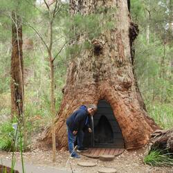 Mysterious little door