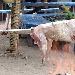 Hm, Schwein ist das nicht🤷‍♂️