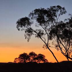 Traumhafte Sonnenuntergänge - wie immer