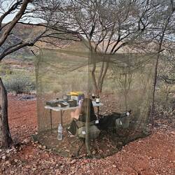 Mit Blick in die Berge