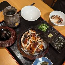 Hitsumabushi - grilled eel with rice and dashi