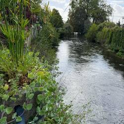 River Touques in the village of Pont-l'Évêque