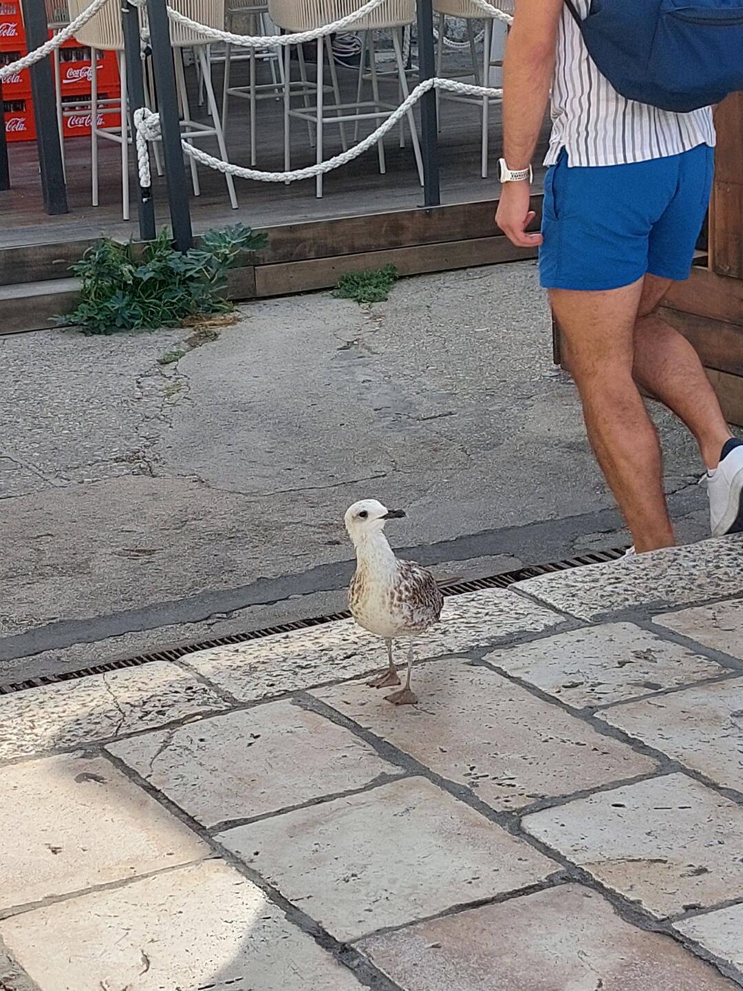 Sie war ganz spitz auf das Eisstandl