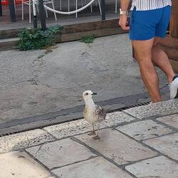 Sie war ganz spitz auf das Eisstandl