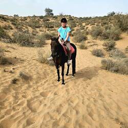 Mein Reit-Buddy Karen vor ihrem Sturz