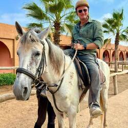 Meine temperamentvolle Araber-Stute