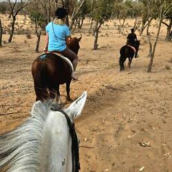 Ich liebe kleine Reitgruppen!