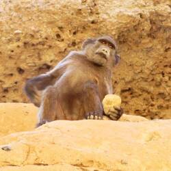 Kommt mir nicht zu nahe