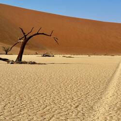 Diese Fahrspur entstand 1940, im damals schlammigen Untergrund