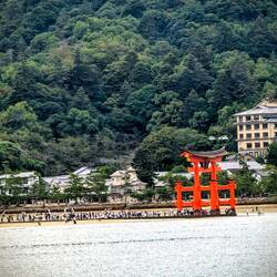 Die kleinen Pünktchen sind alles Menschen