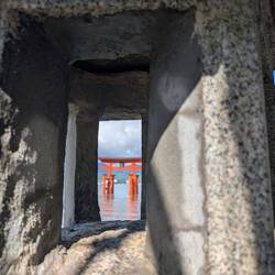 Blick auf das Tori durch die Lampe 😂