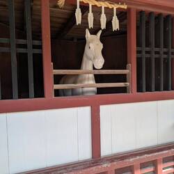 Es steht ein Pferd...