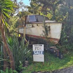 da steht ein Boot im Wald...