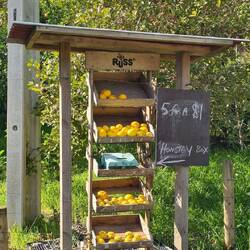 Ein Stand auf Vertrauensbasis