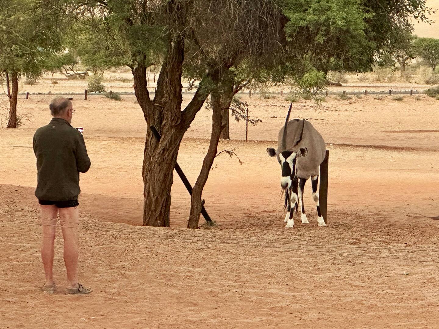 Am Morgen hinterm Zelt