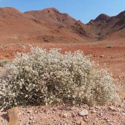 ...dunkle Berge im Osten