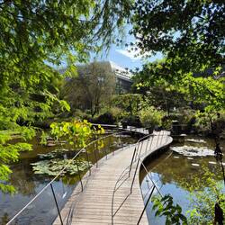 Makino Botanical Garden