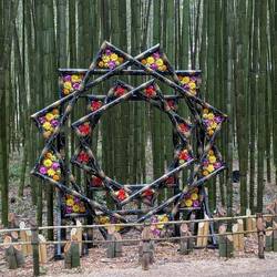 Photo site at bamboo path
