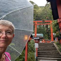 The start of the climb to the monkey sanctuary