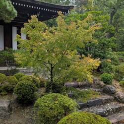 Ninnaji gardens and tea house