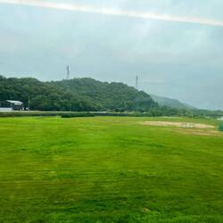 Green fields