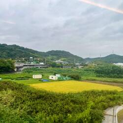 We begin to see countryside