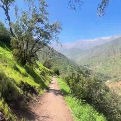 Das Vogelgezwitscher 🥹