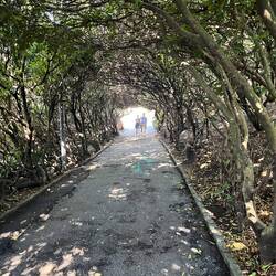 Really beautiful path. I wish it was a lot longer.