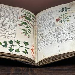 Tidier and prettier journal than my own - can do better