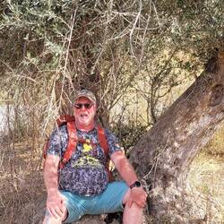 Von ca. 2000 Jahre alten Oliverbäumen die Energie aufnehmen