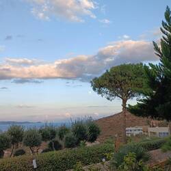 Nach heutigen Sonnenaufgang nun der Mondaufgang (Suchbild)